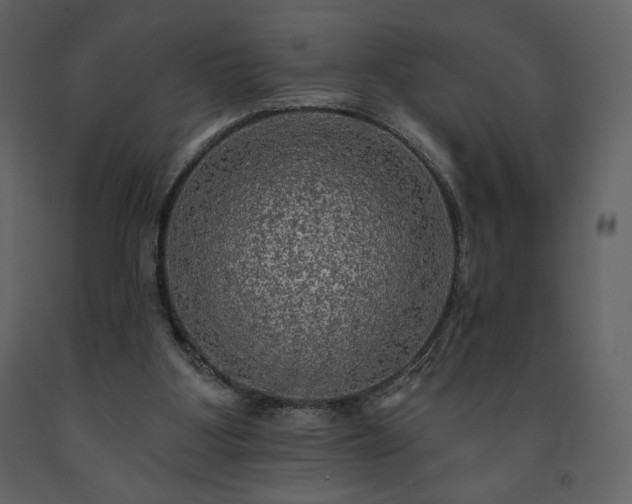 X0000091510107200708241637