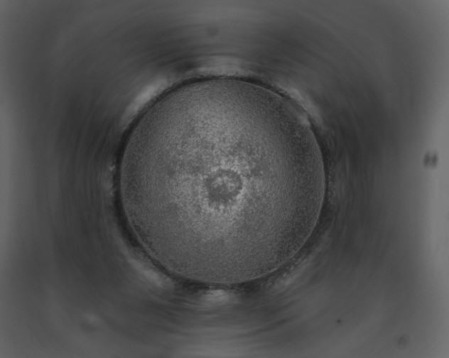 X0000091510111200708241637