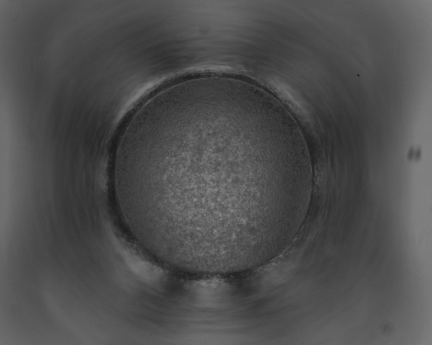 X0000091510112200708241637