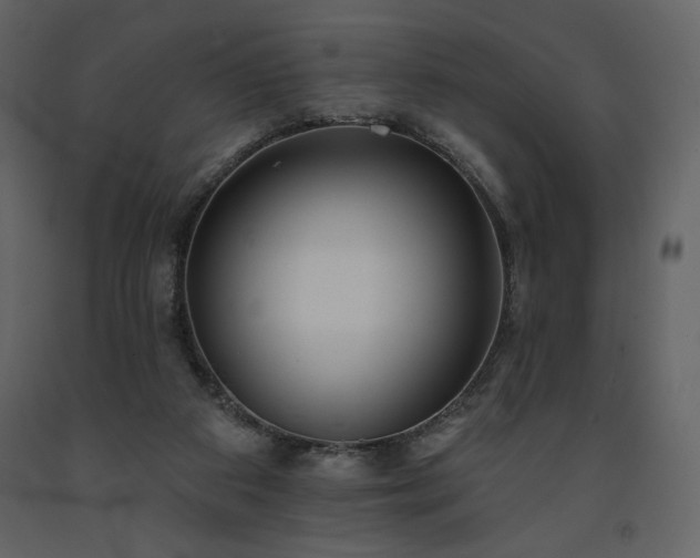 X0000091510113200708241637