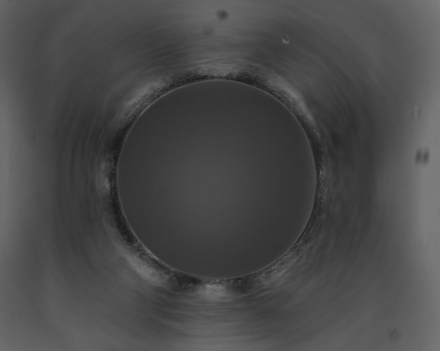 X0000091510114200708241637