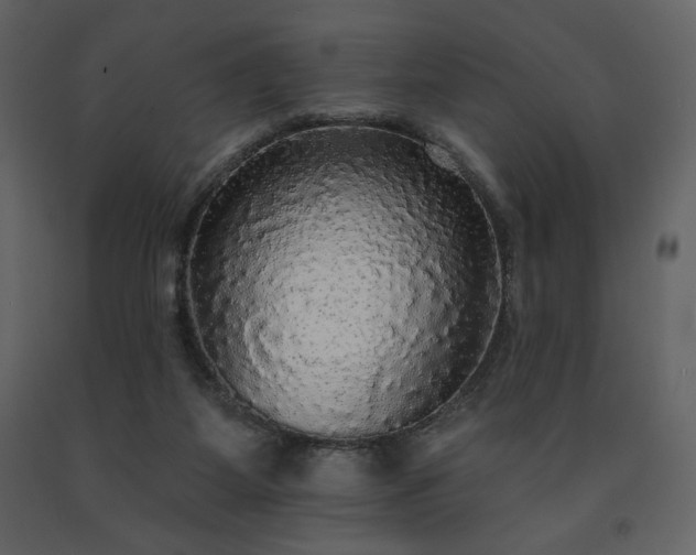 X0000091510115200708241637