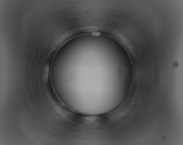 X0000091510118200708241637