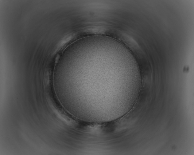 X0000091510120200708241637