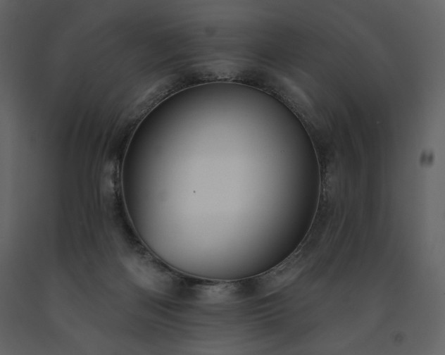 X0000091510122200708241637