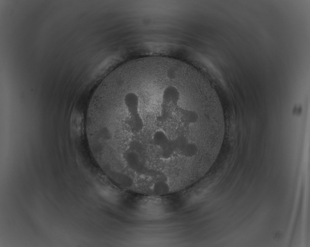 X0000091510123200708241637