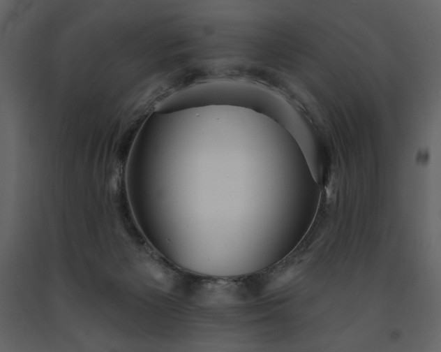 X0000091510125200708241637