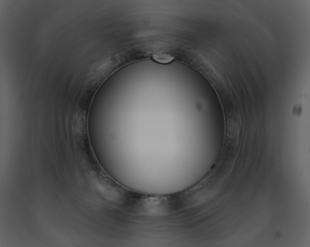 X0000091510126200708241637