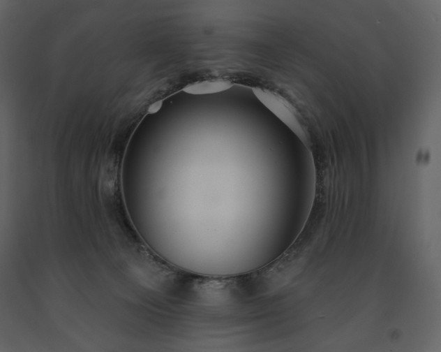 X0000091510129200708241637