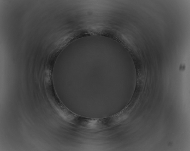 X0000091510130200708241637