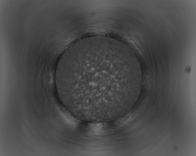 X0000091510131200708241637