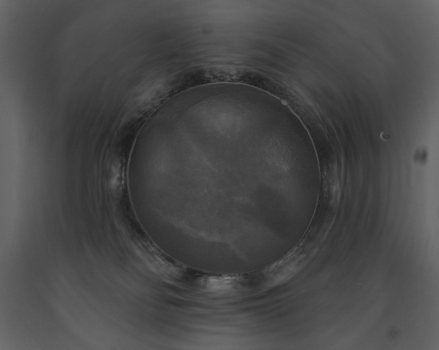 X0000091510134200708241637