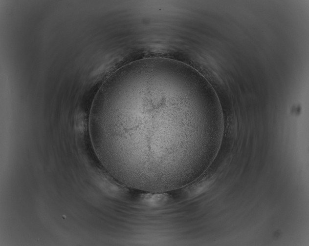 X0000091510135200708241637