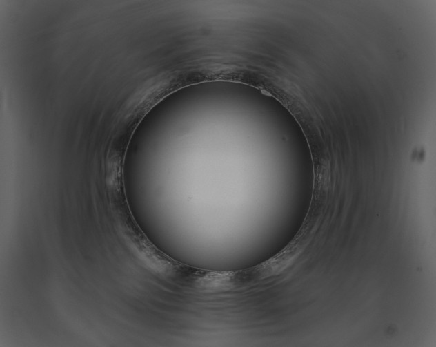 X0000091510138200708241637