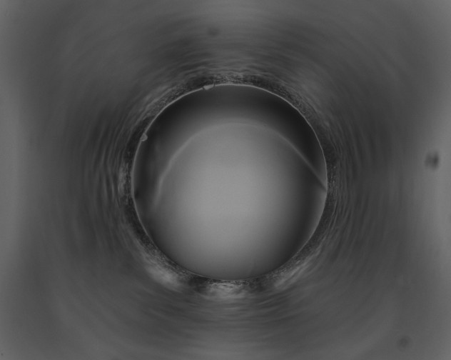 X0000091510139200708241637