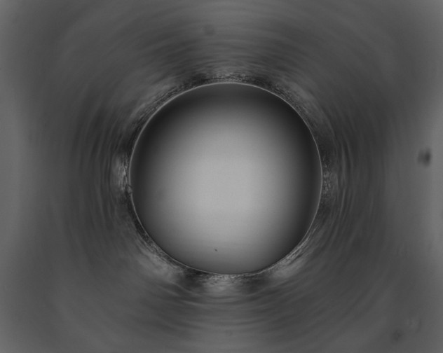 X0000091510142200708241637