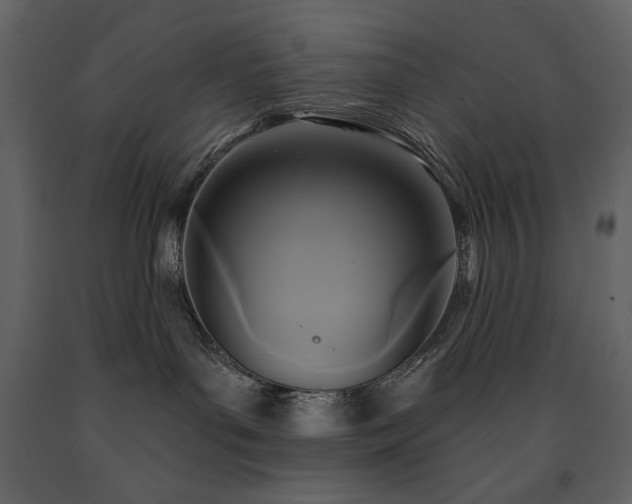 X0000091510143200708241637