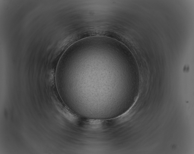 X0000091510144200708241637