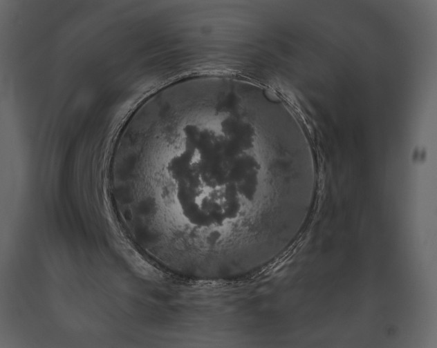 X0000091510145200708241636