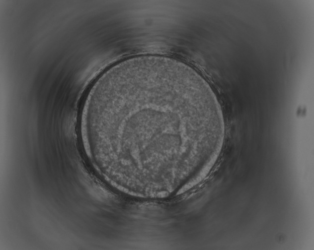 X0000091510146200708241636