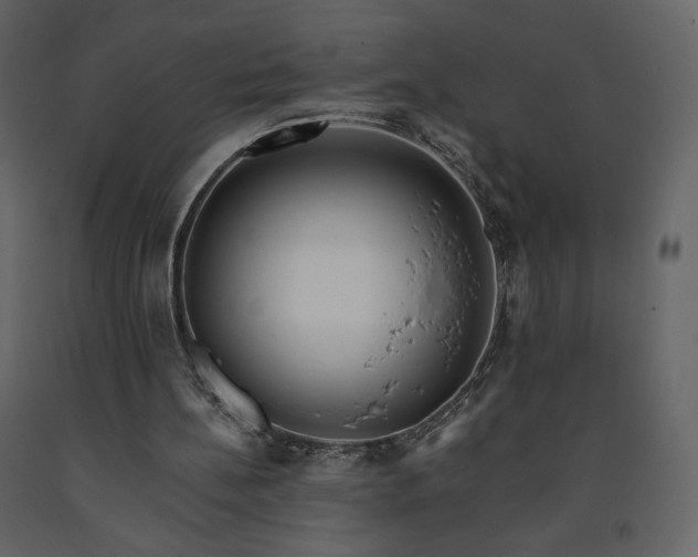 X0000091510148200708241636