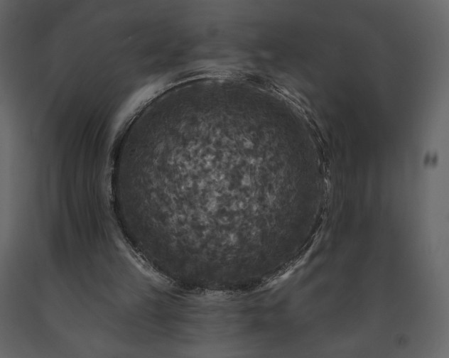 X0000091510149200708241636