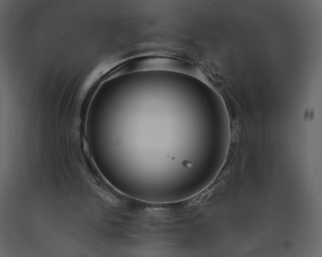 X0000091510150200708241636