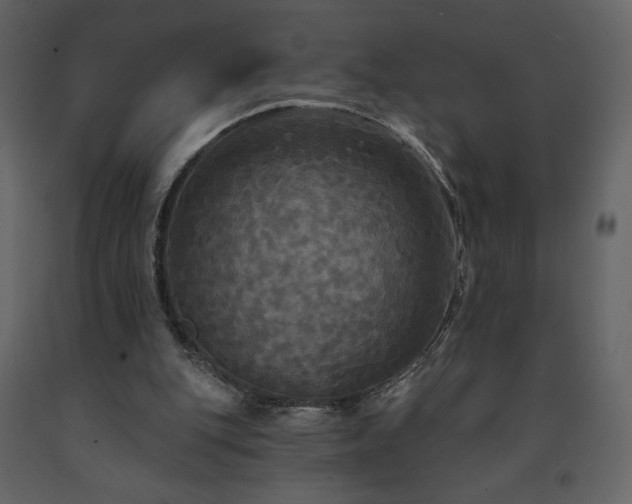 X0000091510151200708241636