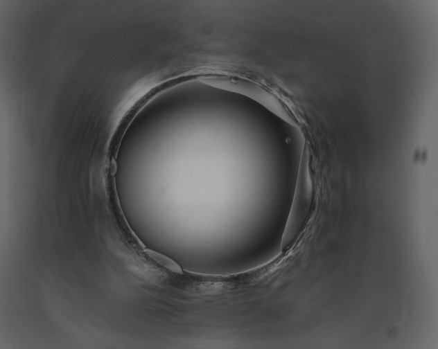 X0000091510152200708241636