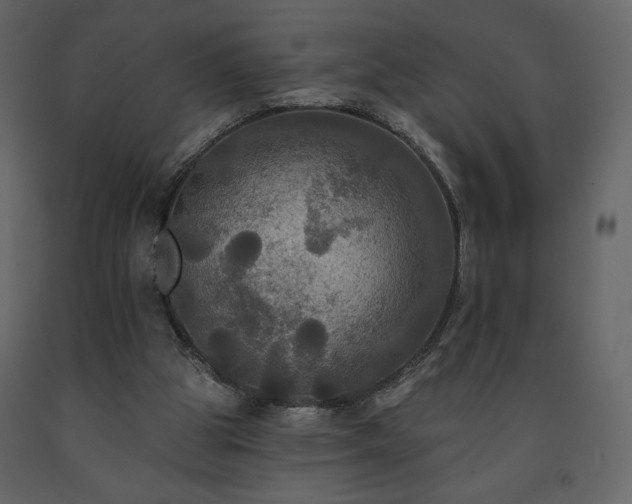 X0000091510153200708241636