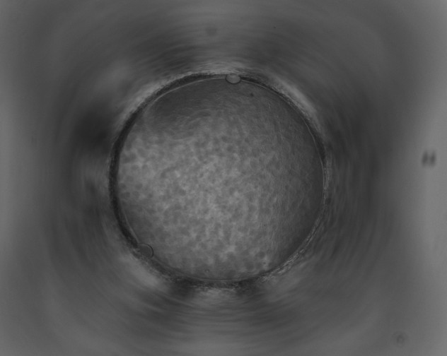 X0000091510155200708241636