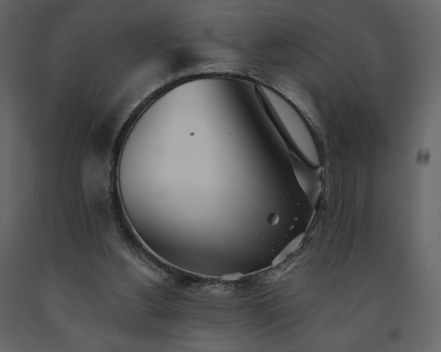 X0000091510156200708241636