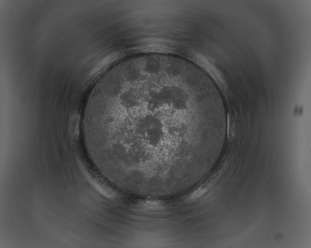 X0000091510157200708241636