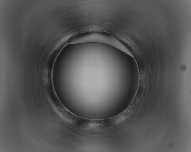 X0000091510158200708241636