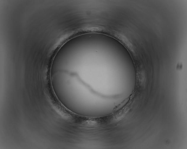 X0000091510159200708241636