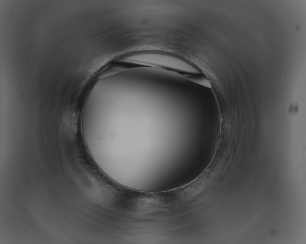 X0000091510160200708241636