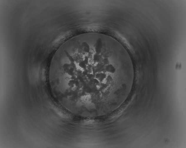 X0000091510161200708241636