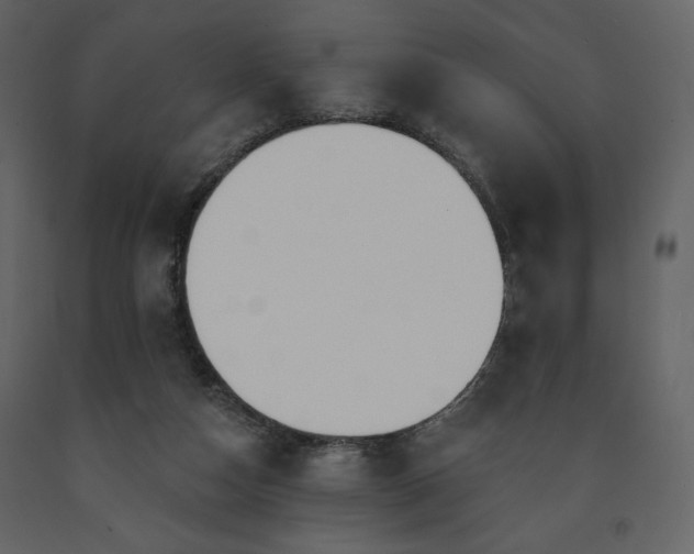 X0000091510162200708241636