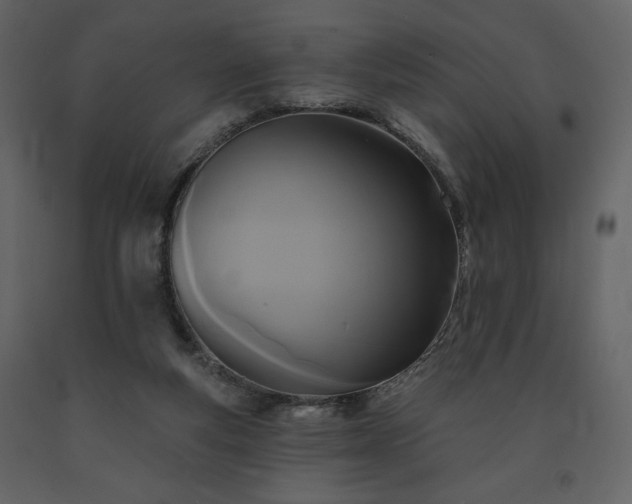 X0000091510163200708241636