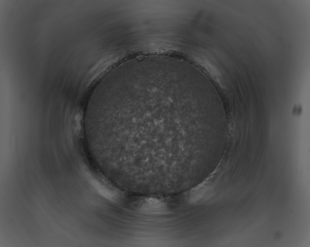 X0000091510166200708241636