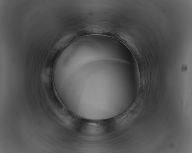 X0000091510167200708241636