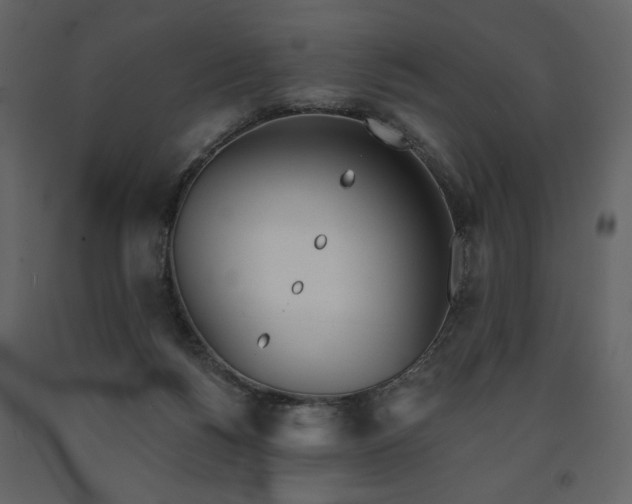 X0000091510168200708241636