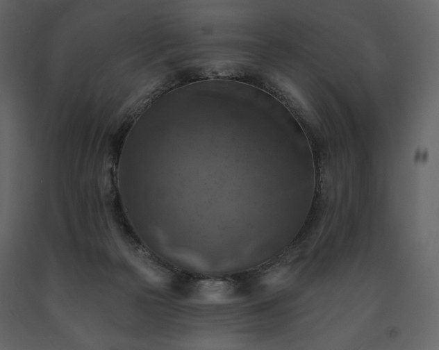 X0000091510169200708241636