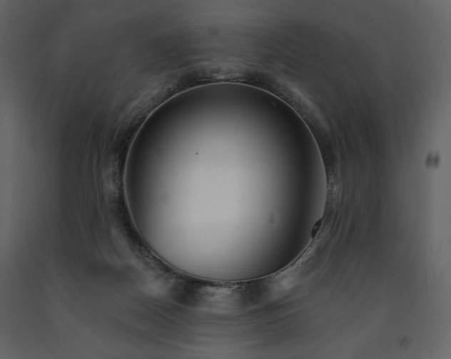 X0000091510170200708241636