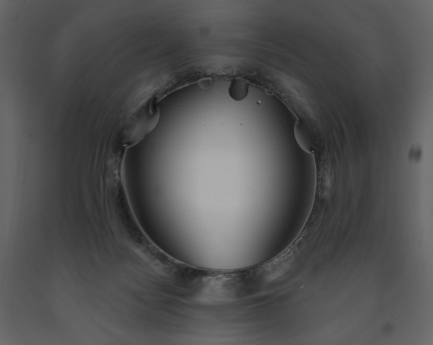 X0000091510172200708241636