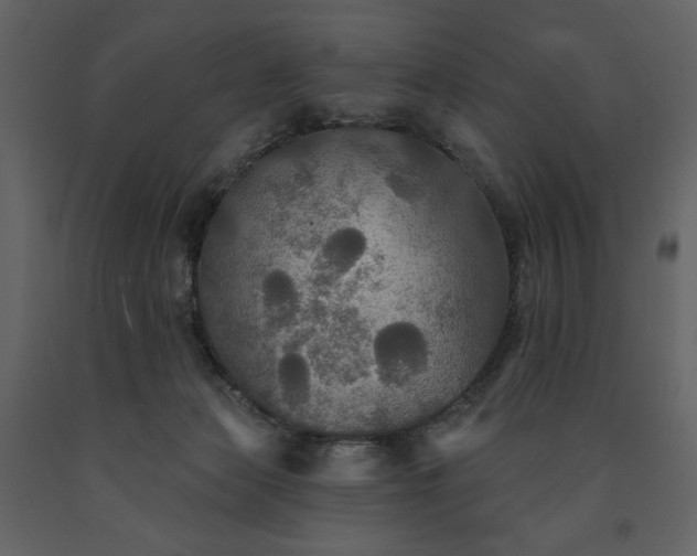 X0000091510173200708241636