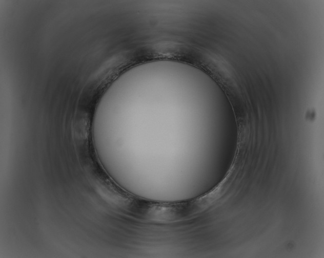 X0000091510174200708241636