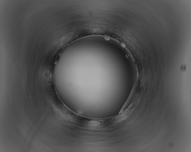 X0000091510176200708241636