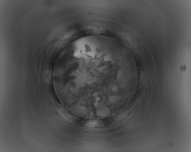 X0000091510177200708241636