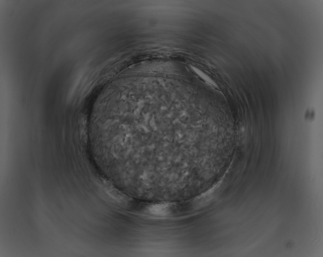 X0000091510178200708241636